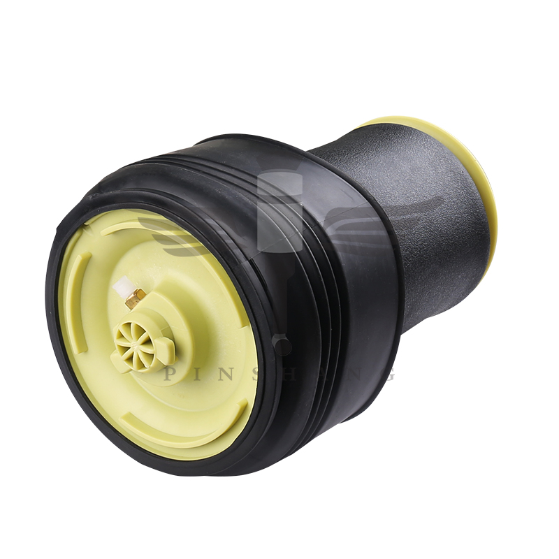 BMW X5 E70 Rear Air Spring